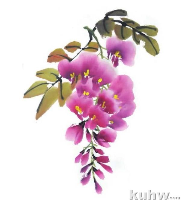 紫藤花头、叶子以及创作的画法