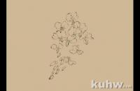 紫藤、凌霄花画法示范