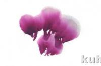 紫藤花头、叶子以及创作的画法