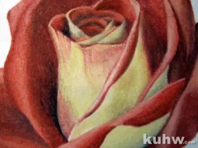 绘画~彩铅教程 | 教你画一枝妖艳的玫瑰花