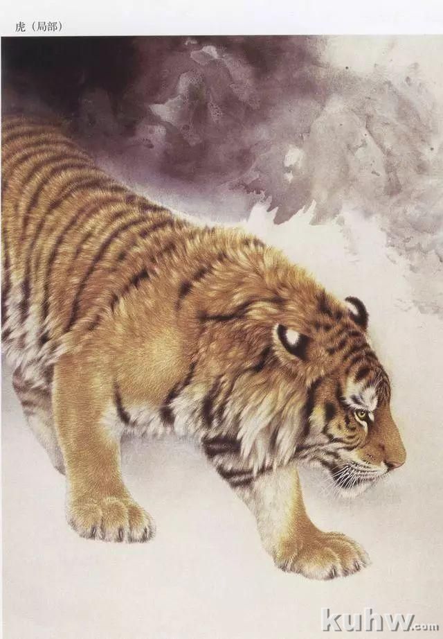 国画老虎狮子的技法