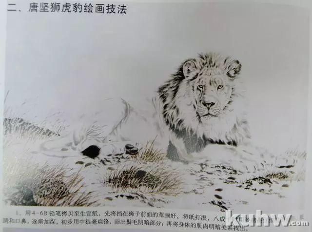 国画老虎狮子的技法