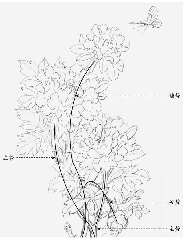 教你6种常见牡丹构图法