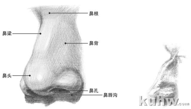 零基础素描教程：分步骤讲解头部比例和五官画法，简单易学，收藏