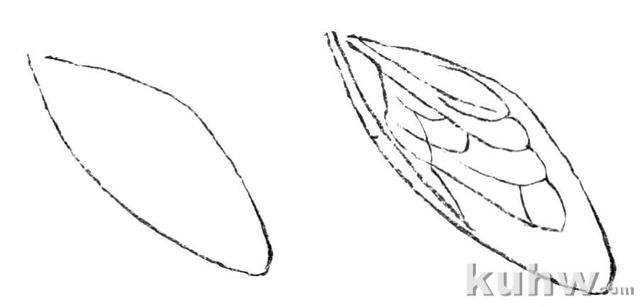国画知识：教你3种常见草虫画法，学会这些，几分钟一幅画