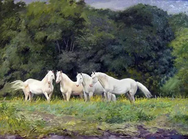 绮丽多姿的加拿大风景油画