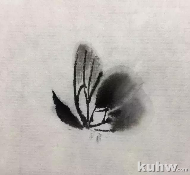 蝴蝶怎么画？步骤详细！