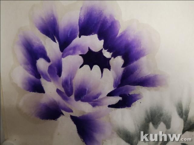 紫色牡丹和白色牡丹绘画教程