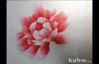 红色牡丹画法步骤