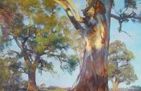 澳大利亚john.McCartin风景油画作品