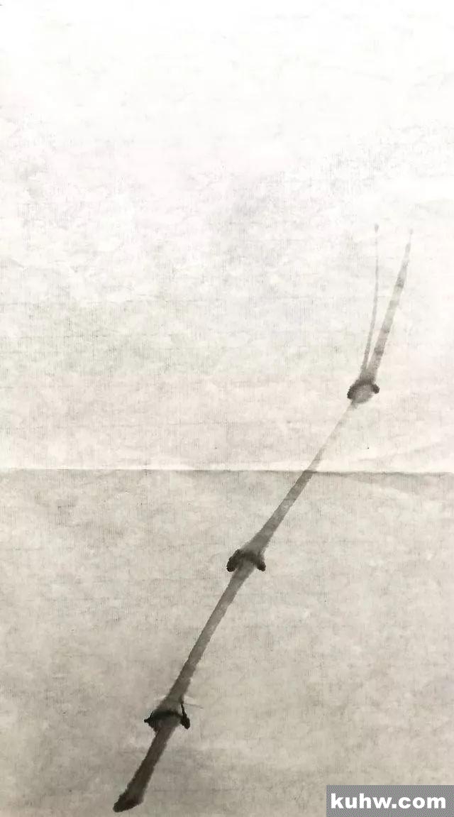 墨竹局部写意步骤