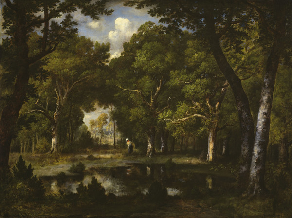 纳西斯·迪亚兹·德·拉·佩纳（Narcisse Virgile Diaz de laPeña）作品《树林里的池塘》高清下载