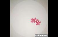 写意花卉《一庭残月海棠红》示范步骤