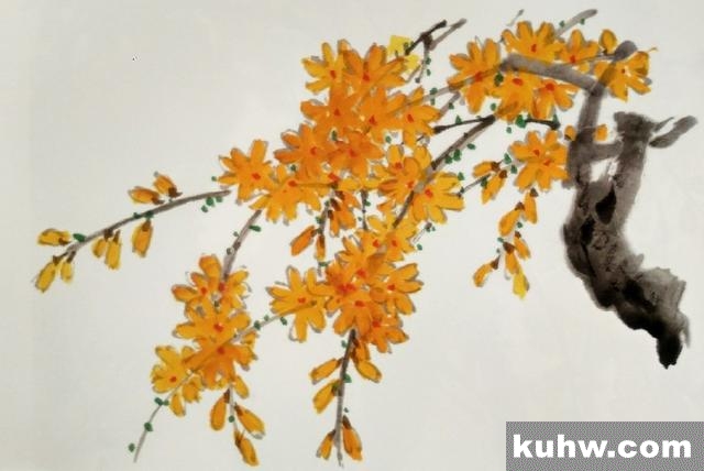 国画基础|迎春花的画法