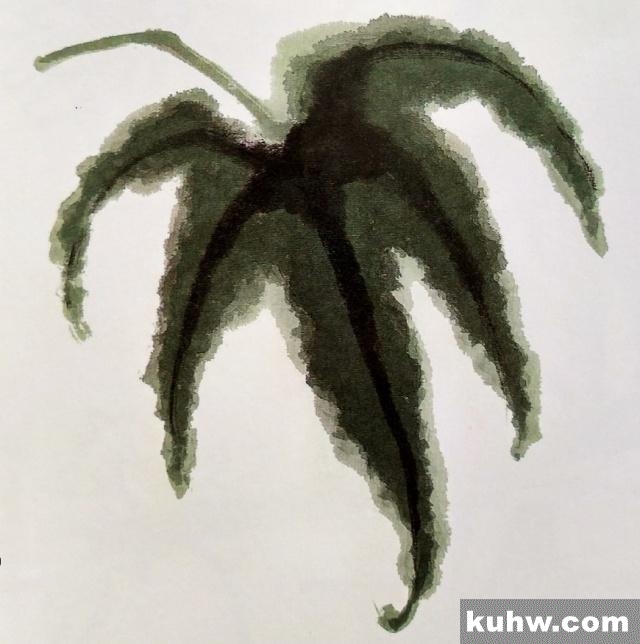 国画基础讲堂|秋葵的画法