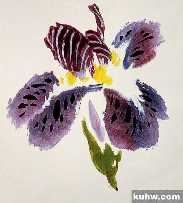 一起来学国画:鸢尾花的画法