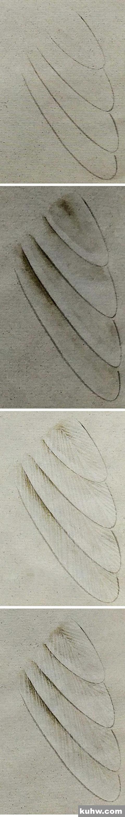 工笔技法|仙鹤的各个部位的详细画法分解