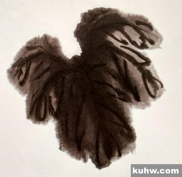 一起来学国画:蜀葵花的画法