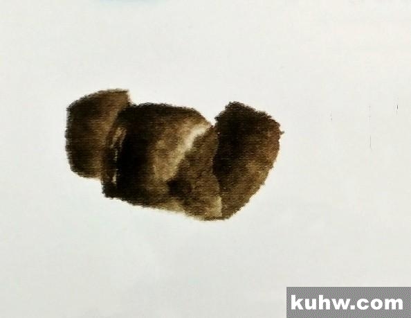 海龙王处也横行|螃蟹的简单画法