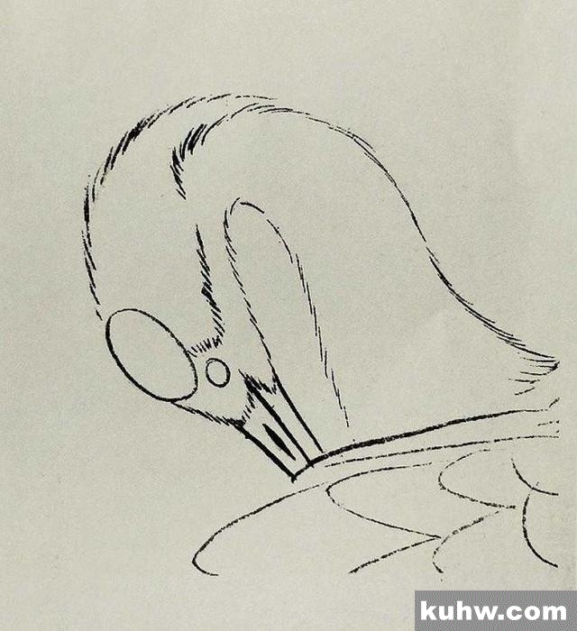 工笔技法|仙鹤的各个部位的详细画法分解