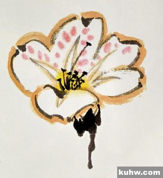 国画技法|杜鹃花的画法
