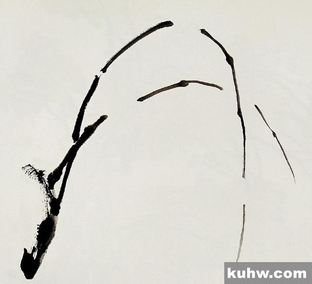国画基础|迎春花的画法
