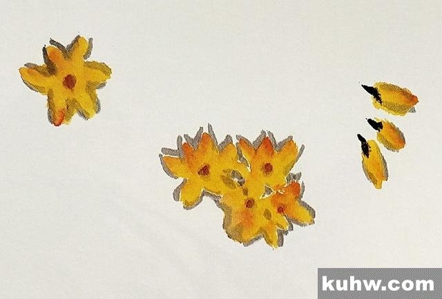 国画基础|迎春花的画法