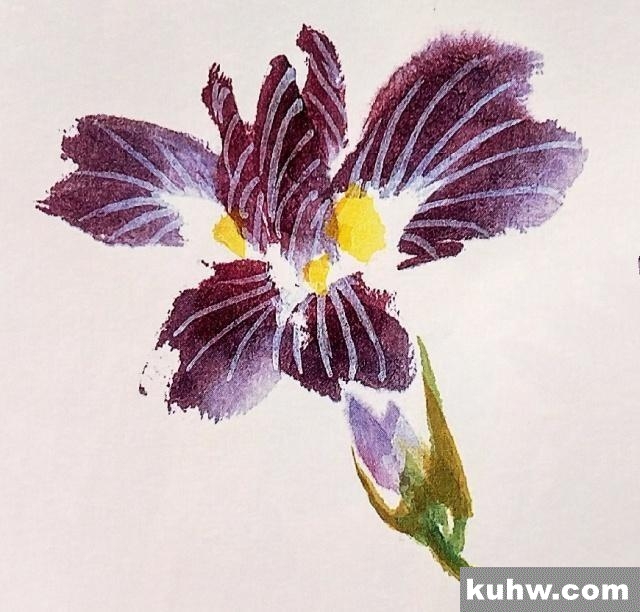 一起来学国画:鸢尾花的画法