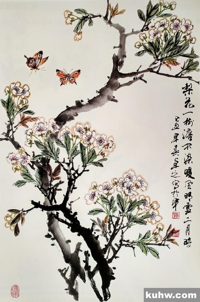 国画学习|梨花的画法