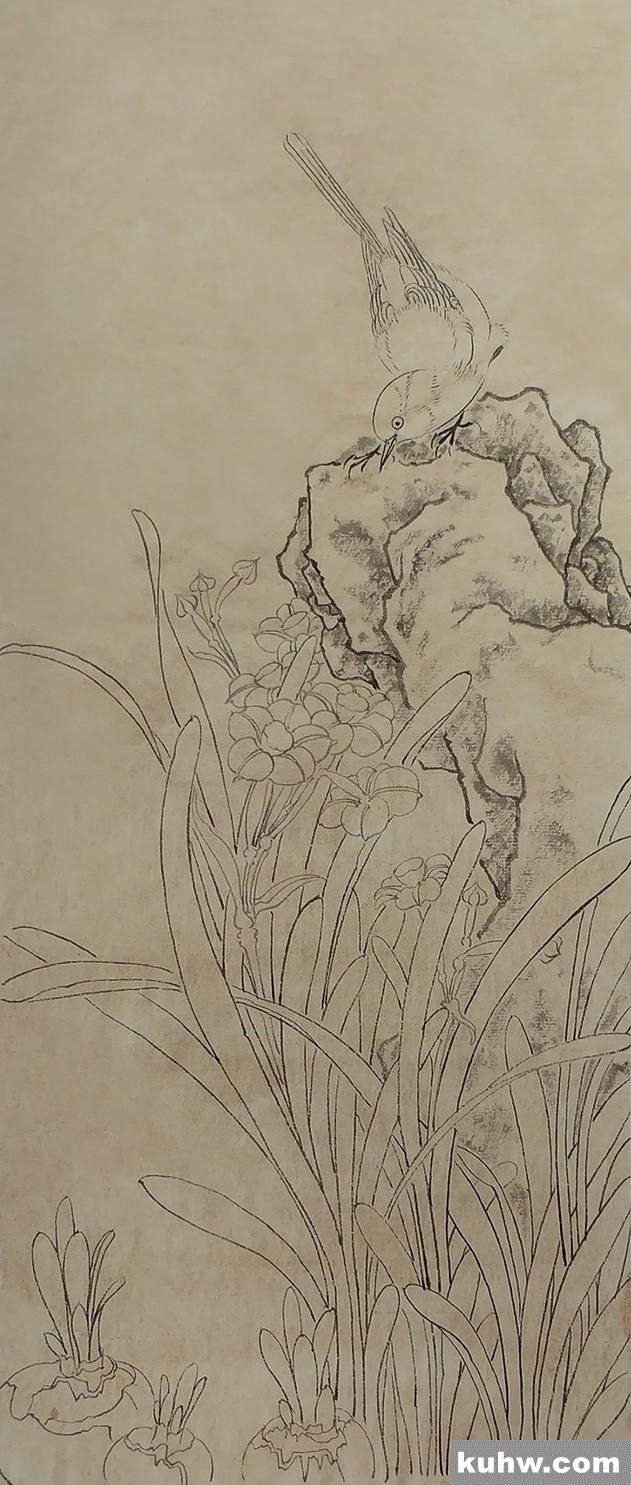 国画技法|水仙鹡鸰的画法