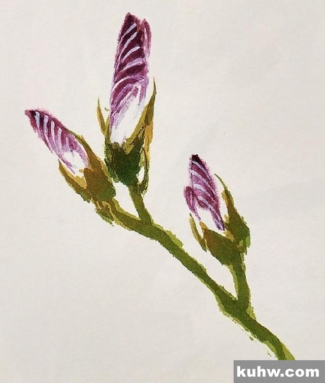 一起来学国画:鸢尾花的画法