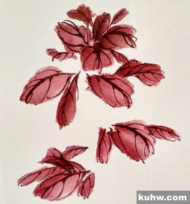 一起来学国画:雁来红的画法