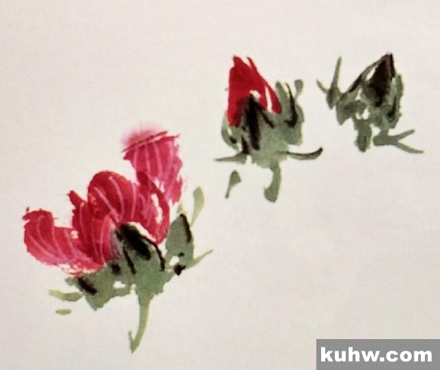 一起来学国画:蜀葵花的画法