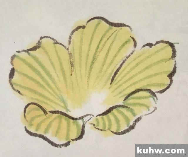 国画基础讲堂|秋葵的画法
