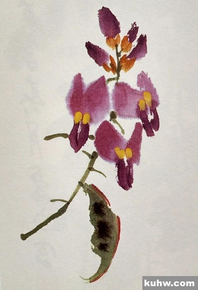 一起来学国画:扁豆花的画法