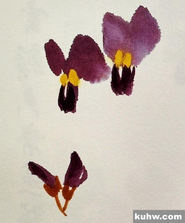 一起来学国画:扁豆花的画法