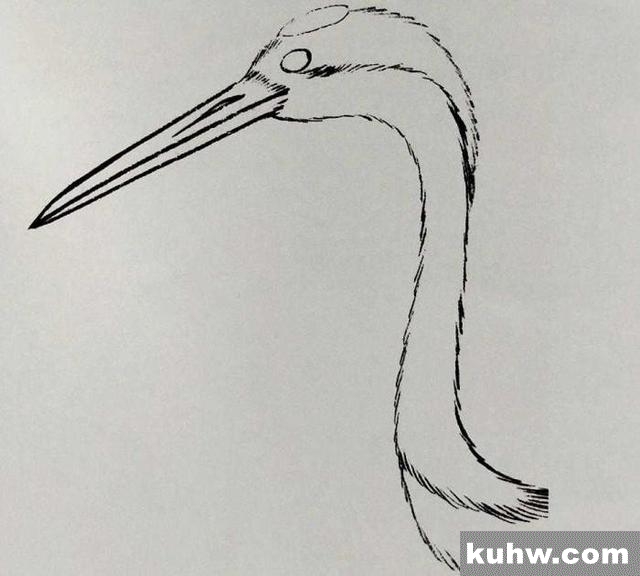 工笔技法|仙鹤的各个部位的详细画法分解