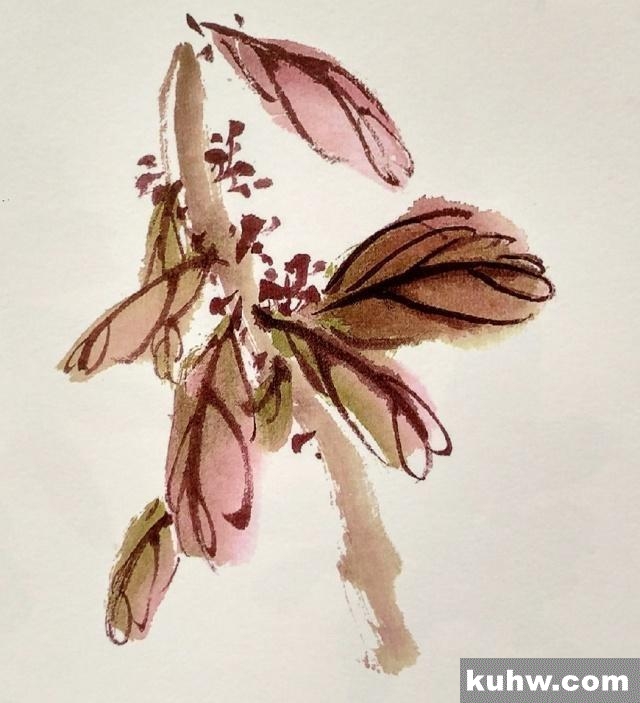 一起来学国画:雁来红的画法