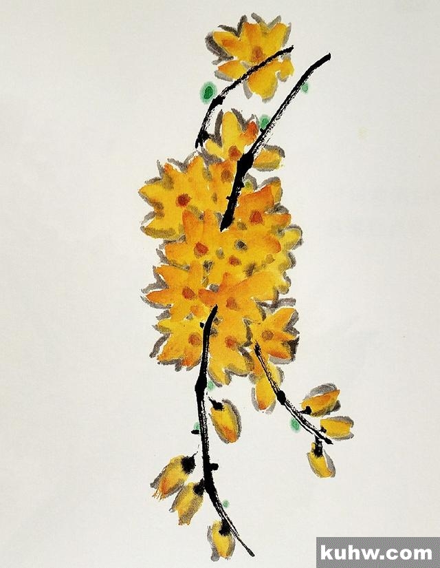 国画基础|迎春花的画法