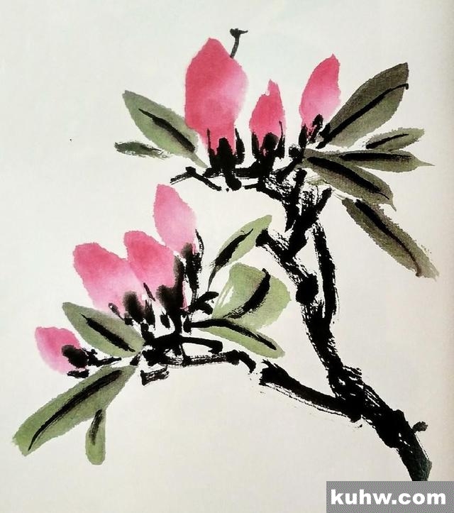 国画技法|杜鹃花的画法