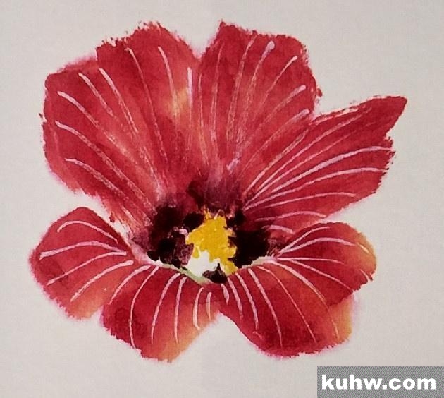 一起来学国画:蜀葵花的画法