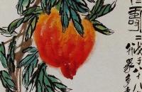 绶带鸟的简易画法以及常见布局构图