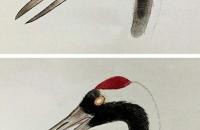 工笔仙鹤的各个部位的详细画法