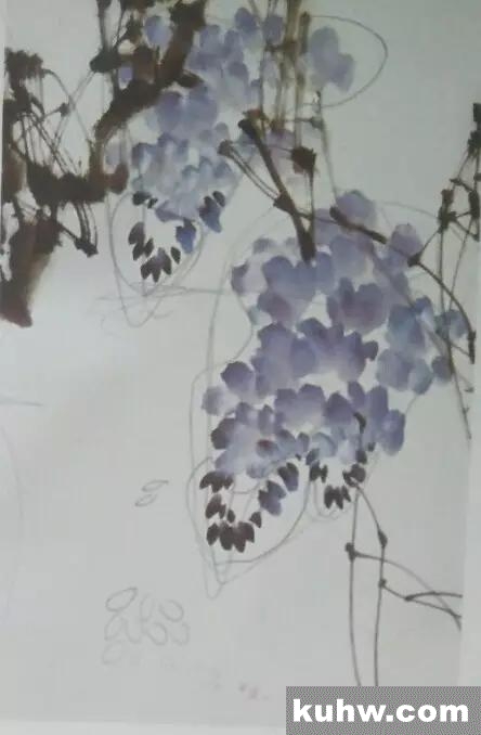 紫藤画法
