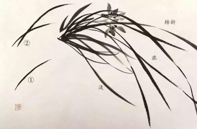 教你画兰花、兰草