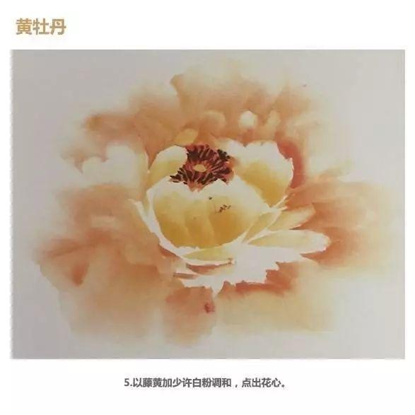 牡丹花头和花叶的三十种画法