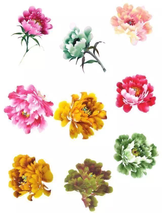 牡丹花头和花叶的三十种画法