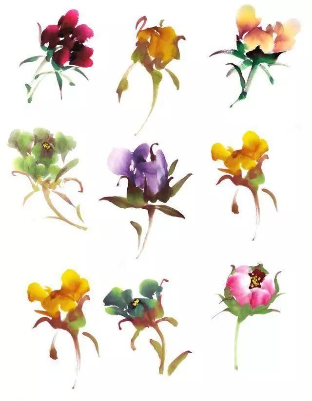 牡丹花头和花叶的三十种画法