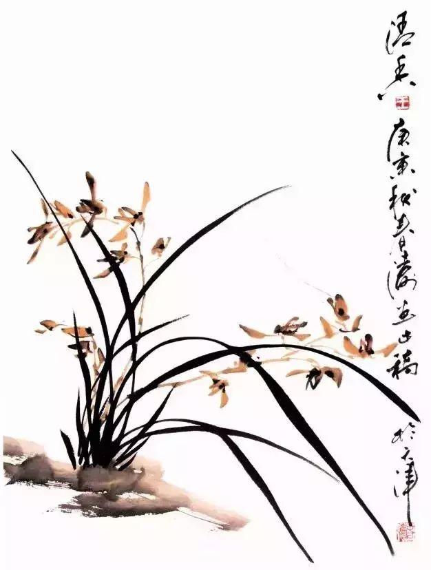 教你画兰花、兰草