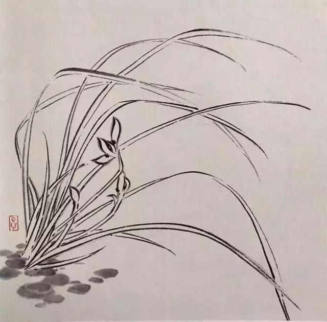 教你画兰花、兰草